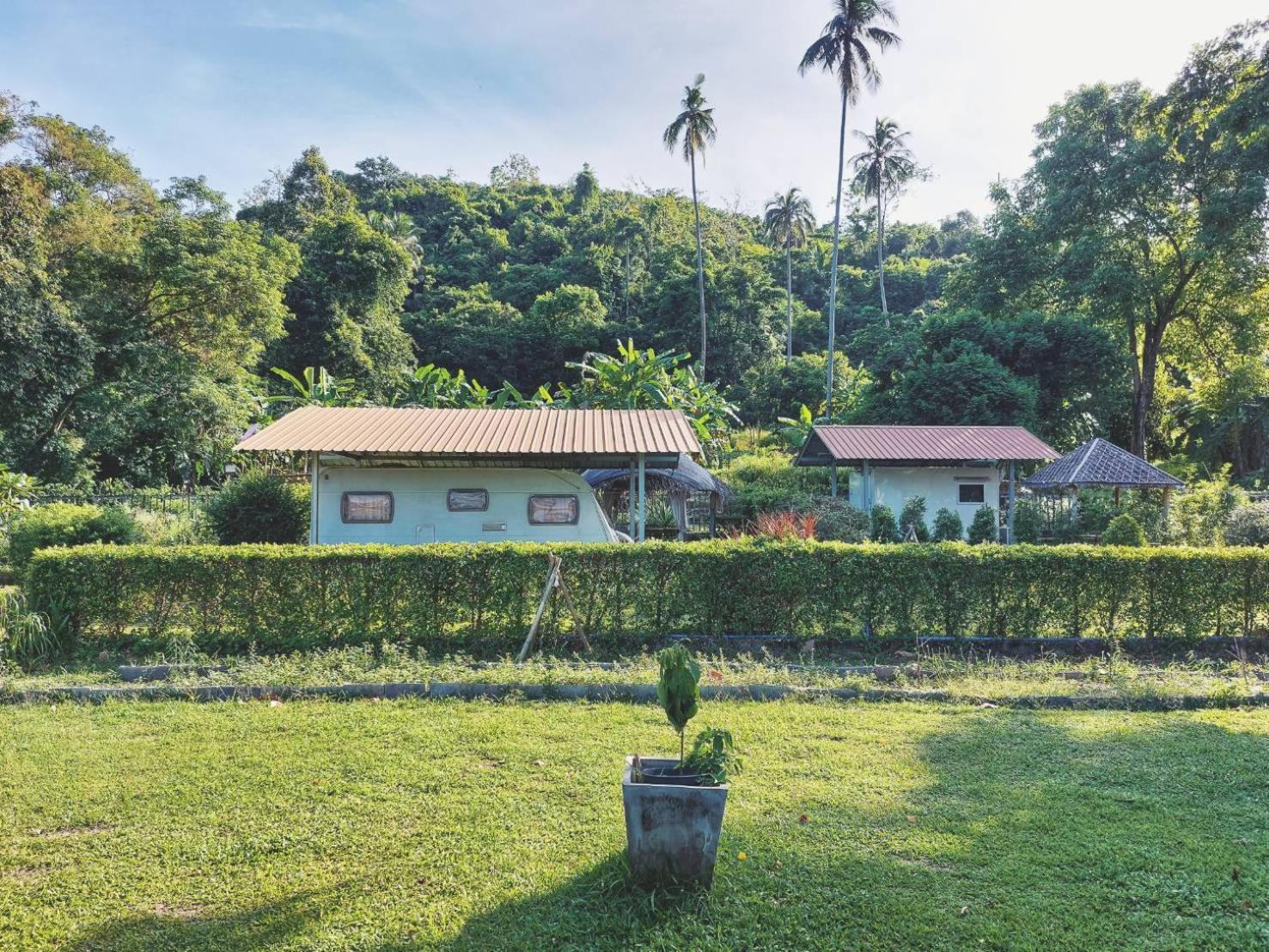 Samui Farm Camping